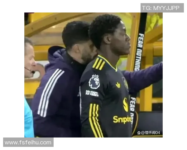 谢什科伤情最新进展曼联宁愿少一人也不让他继续上场原因揭秘