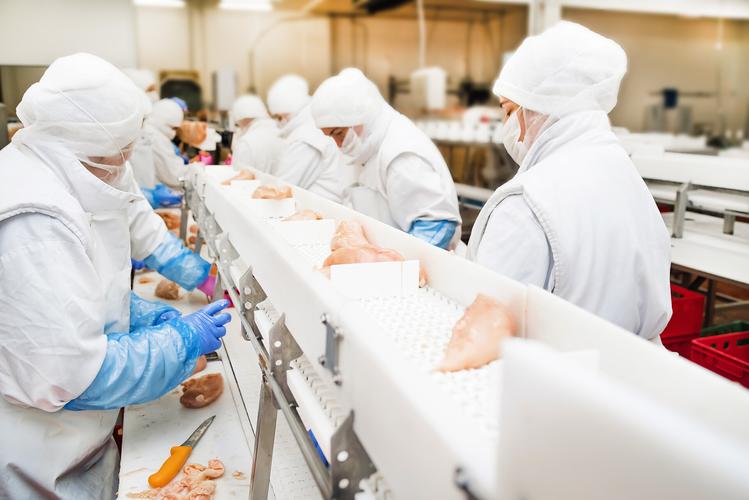 从流水线到餐桌 现代工厂鸡胸肉加工与肉类配送服务全解析
